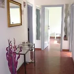 Il Cucu